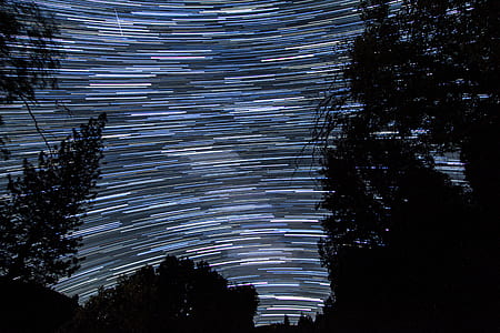time lapse worm eye's photography of trees under stars thumbnail