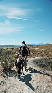 woman rides on bicycle under blue sky thumbnail