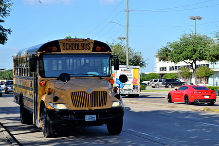 yellow school bus on road during daytime thumbnail