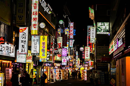assorted color of lighted signages thumbnail