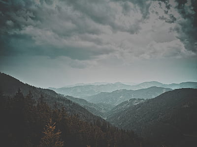 mountains and trees landscape photo thumbnail