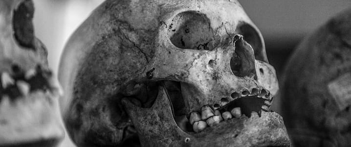 selective focus photographed of gray skull thumbnail