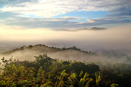 landscape photography of trees, mountains, fog, and sky thumbnail