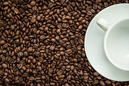 Texture of coffee beans with a white cup thumbnail