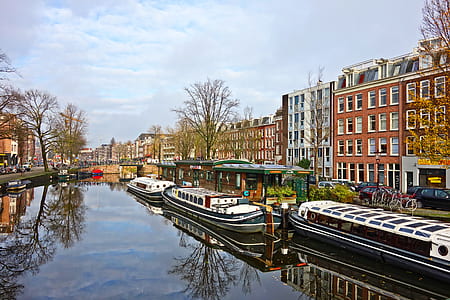 boats docked on riverbank in city thumbnail