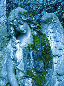 angel statue with algae thumbnail