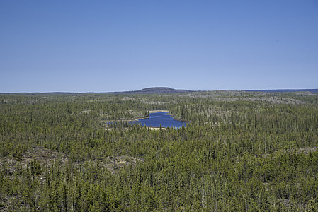 Hill and Lakes in the Middle of the Pine Forest on the Ingraham Trail thumbnail