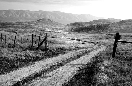 grayscale photo of winding rough road thumbnail