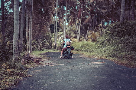 Woman Riding Motor Scooter Near Coconut Trees thumbnail
