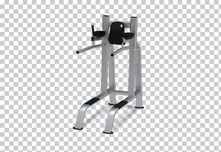 Bench Leg Raise Dip Weight Training Exercise Machine Dumbbell Png