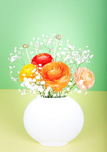 orange, yellow, and red ranunculus flowers in white vase thumbnail
