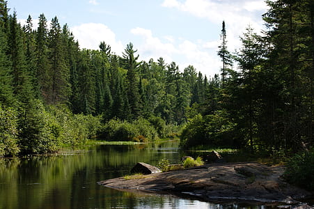 lake and trees thumbnail