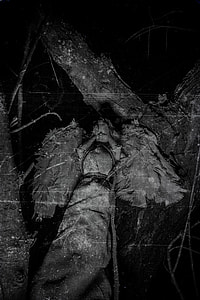 angel statue near tree thumbnail
