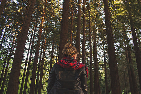 woman standing near trees thumbnail