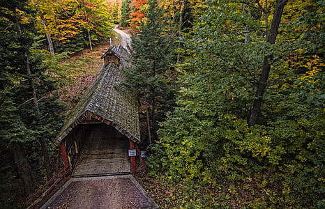 red wooden house bridge surrounded by trees thumbnail