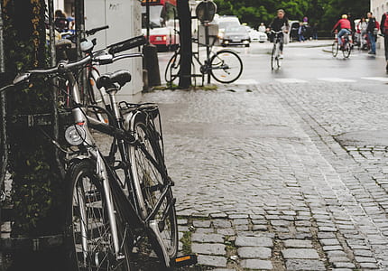 silver bicycle leaning on gray post beside road thumbnail