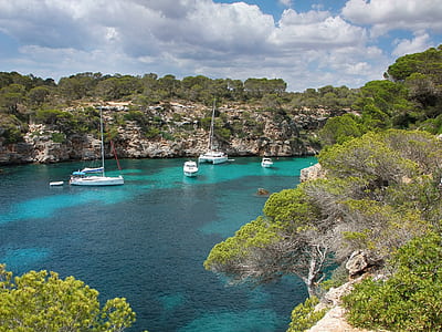 white motorboats near rock coastal thumbnail