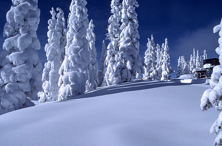 white snow path thumbnail