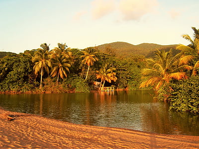 photo of body of water surrounded by coconut trees during daytime thumbnail