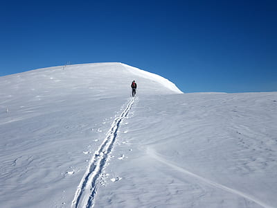 person walking on snowfield thumbnail