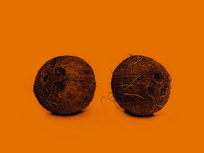 two brown coconut shells closeup photography thumbnail