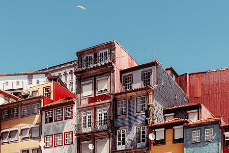 brown and white concrete buildings during daytime thumbnail
