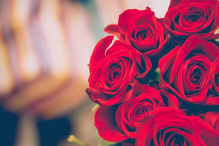 bouquet of red roses thumbnail