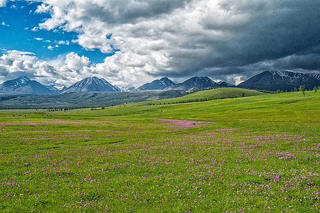 Landscape thumbnail