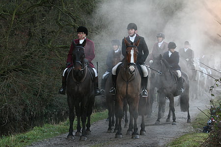 people riding on horses while walking on gray road thumbnail
