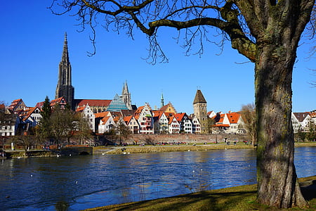 buildings near body of water thumbnail