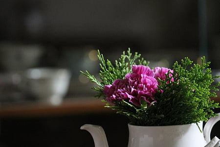 pink and green flower on white ceramic pot macro photography thumbnail