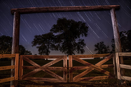 brown fence and silhouette of trees during rainy night illustration thumbnail