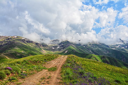 mountains covered with green grasses thumbnail
