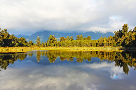 calm body of water in front of trees thumbnail