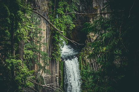 waterfalls in forest at daytime thumbnail
