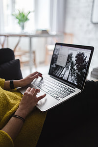 Young woman sitting on the sofa and working on her laptop thumbnail