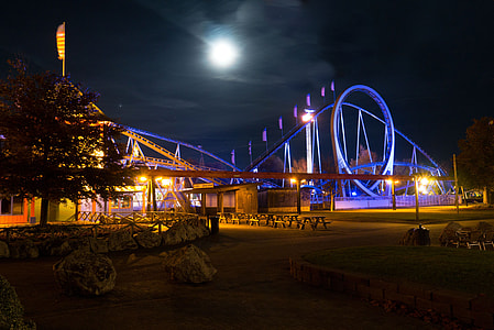 roller coaster near tree thumbnail
