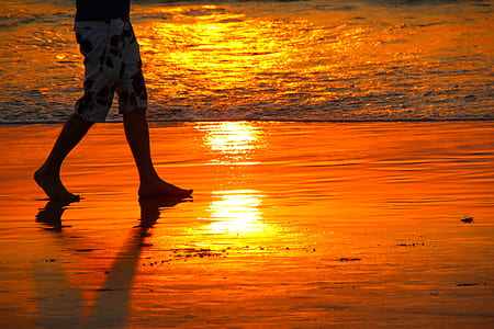 person walking on beach shore thumbnail