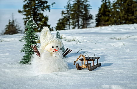 snowman near brown sled thumbnail