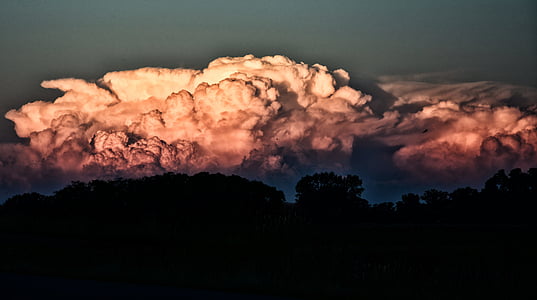 trees under white clouds thumbnail