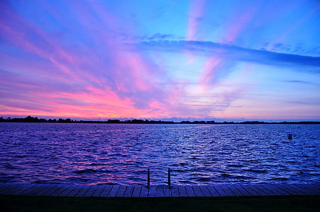 silhouette of trees with body of water thumbnail