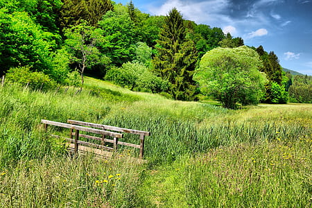 green grass field thumbnail