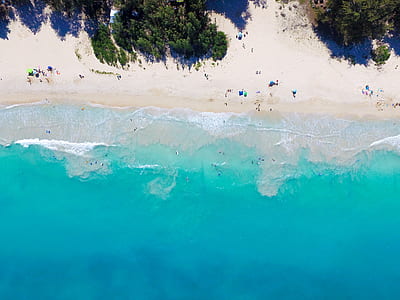bird's eye view of seashore thumbnail