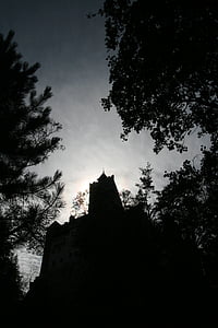 low-angle photo of building near tree thumbnail