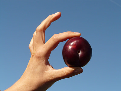 person holding red apple thumbnail