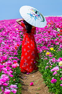 woman holding umbrella while standing on pathway next to pink flowers during daytime thumbnail