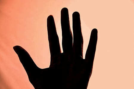 Silhouette of Left Human Hand thumbnail