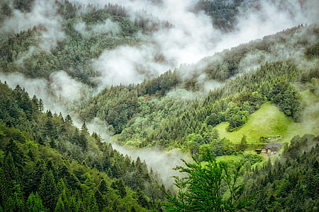 bird's eye photographed of green mountain thumbnail