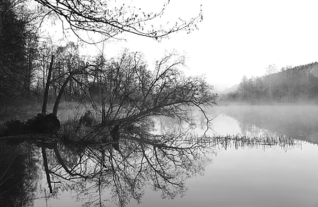 photo of lake with fogs during cloudy season thumbnail