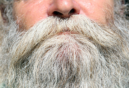 macro photography of white beard thumbnail